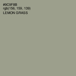 #9C9F8B - Lemon Grass Color Image