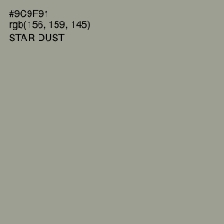 #9C9F91 - Star Dust Color Image