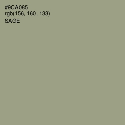#9CA085 - Sage Color Image