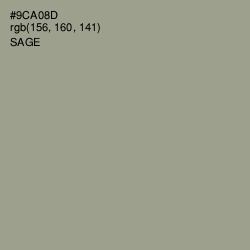 #9CA08D - Sage Color Image