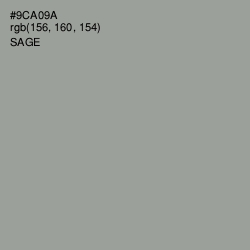 #9CA09A - Sage Color Image