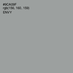 #9CA09F - Envy Color Image