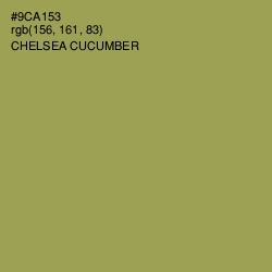 #9CA153 - Chelsea Cucumber Color Image