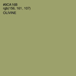 #9CA16B - Olivine Color Image