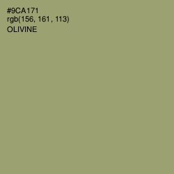 #9CA171 - Olivine Color Image