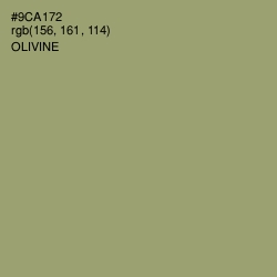 #9CA172 - Olivine Color Image