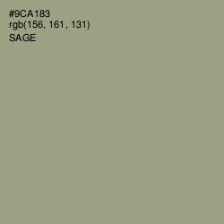 #9CA183 - Sage Color Image