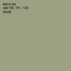#9CA184 - Sage Color Image