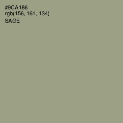 #9CA186 - Sage Color Image