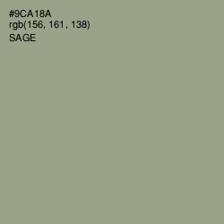 #9CA18A - Sage Color Image