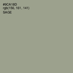 #9CA18D - Sage Color Image