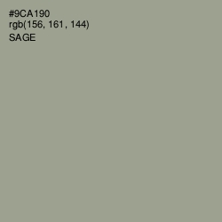 #9CA190 - Sage Color Image