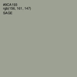 #9CA193 - Sage Color Image