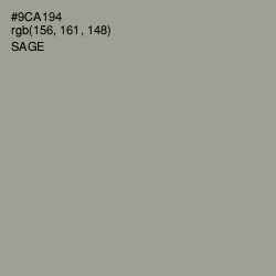 #9CA194 - Sage Color Image