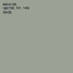 #9CA195 - Sage Color Image
