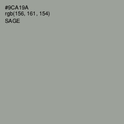 #9CA19A - Sage Color Image