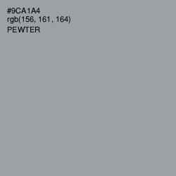 #9CA1A4 - Pewter Color Image