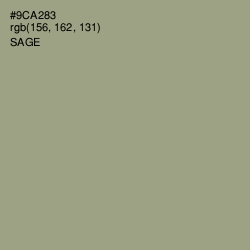 #9CA283 - Sage Color Image