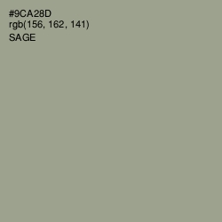 #9CA28D - Sage Color Image