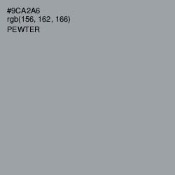 #9CA2A6 - Pewter Color Image