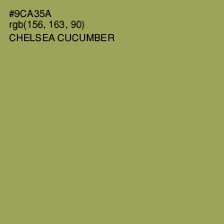 #9CA35A - Chelsea Cucumber Color Image