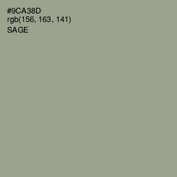 #9CA38D - Sage Color Image