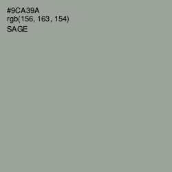 #9CA39A - Sage Color Image