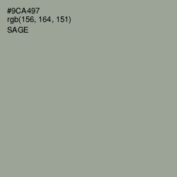 #9CA497 - Sage Color Image