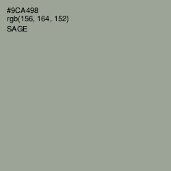 #9CA498 - Sage Color Image