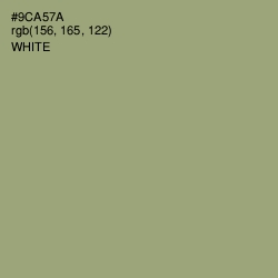 #9CA57A - Olivine Color Image