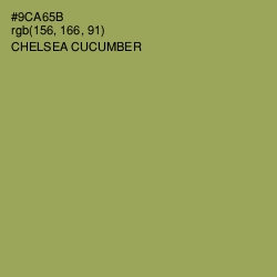 #9CA65B - Chelsea Cucumber Color Image