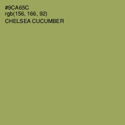#9CA65C - Chelsea Cucumber Color Image