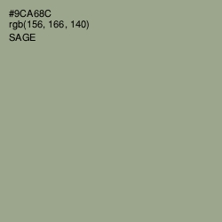 #9CA68C - Sage Color Image
