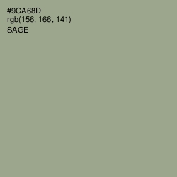 #9CA68D - Sage Color Image