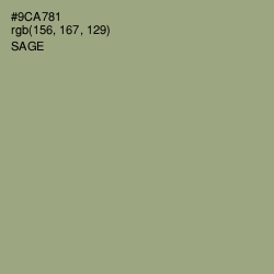 #9CA781 - Sage Color Image
