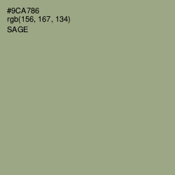 #9CA786 - Sage Color Image