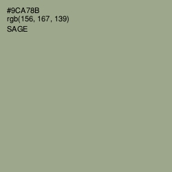 #9CA78B - Sage Color Image