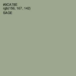 #9CA78E - Sage Color Image