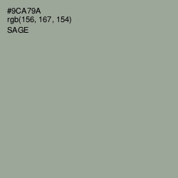 #9CA79A - Sage Color Image