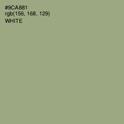 #9CA881 - Sage Color Image