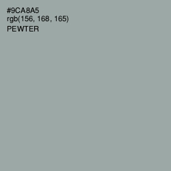 #9CA8A5 - Pewter Color Image