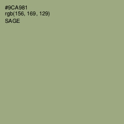 #9CA981 - Sage Color Image