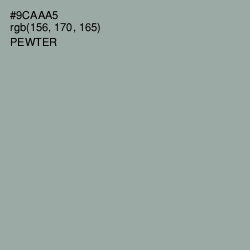 #9CAAA5 - Pewter Color Image