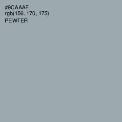 #9CAAAF - Pewter Color Image