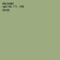 #9CAB80 - Sage Color Image