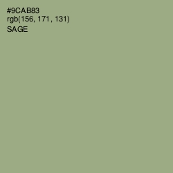 #9CAB83 - Sage Color Image