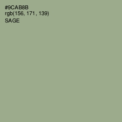 #9CAB8B - Sage Color Image