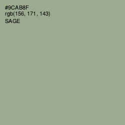 #9CAB8F - Sage Color Image