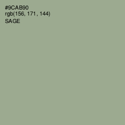 #9CAB90 - Sage Color Image