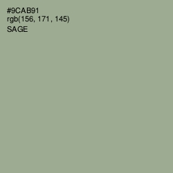 #9CAB91 - Sage Color Image